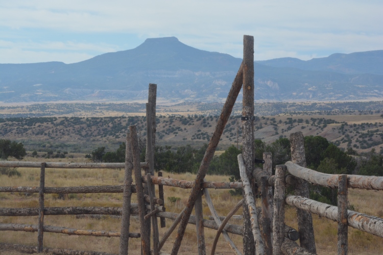 corral with pedernal in background